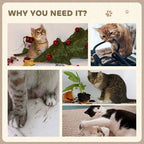 Cat Scratching Board with Organic Catnip for Indoor Cats, Brown