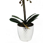 Realistic 50cm Pink Silver Phalaenopsis Orchid - Artificial Floral Decor