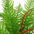 60cm Artificial Bushy Dixie Wood Fern Dark Green Plant in Green
