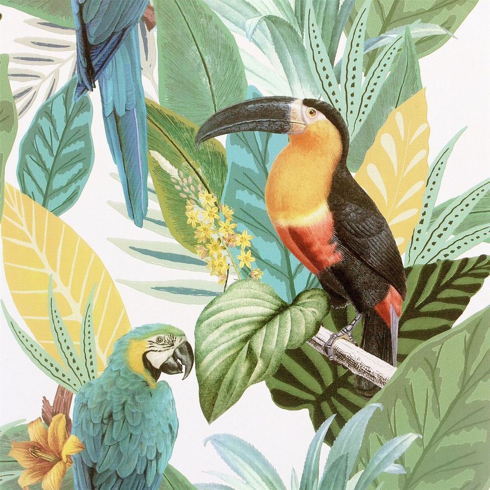 Tropical Paradise Toucan Jungle Multi: Expertly Crafted for All Ages!