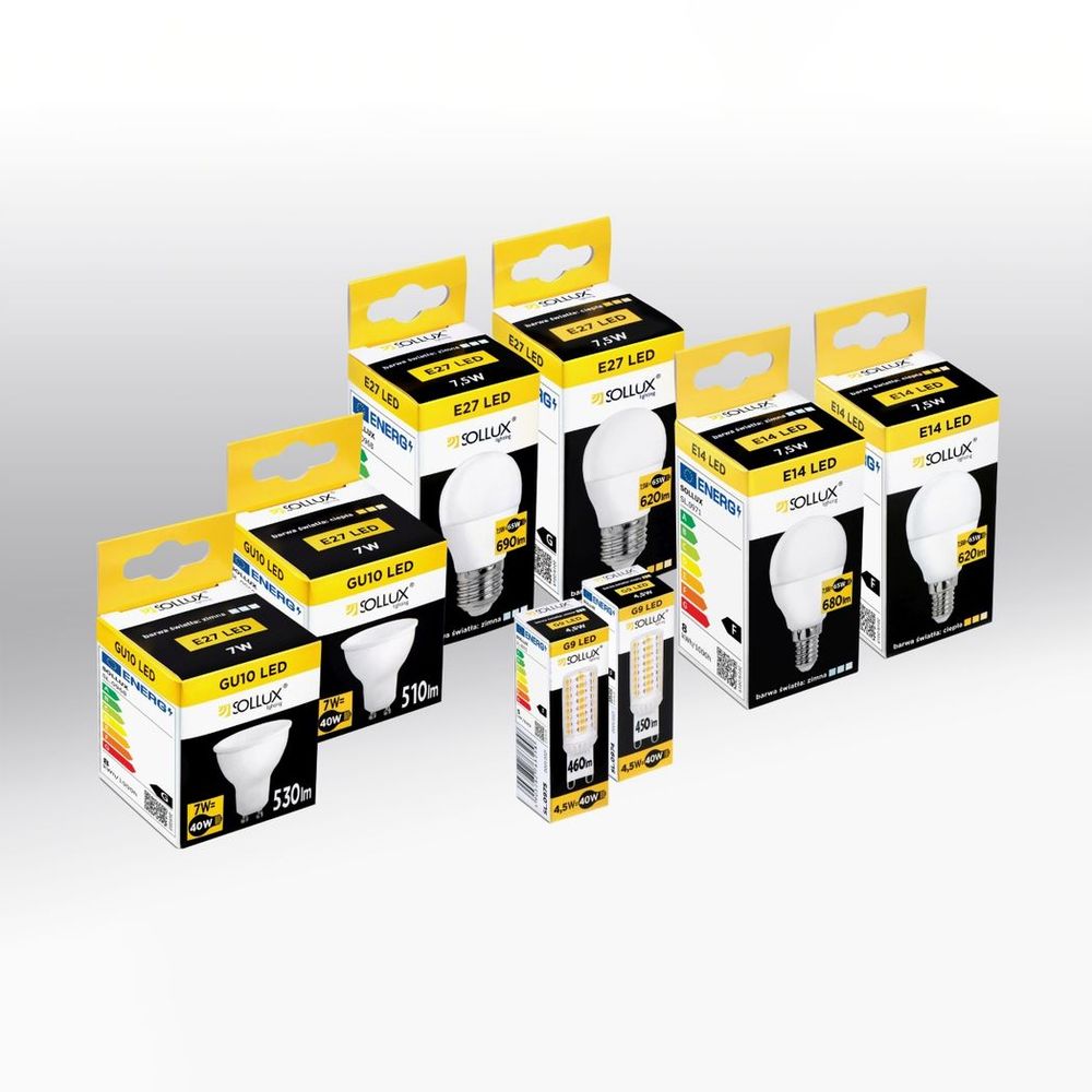 Brighten Up Your Space with Bulbs
