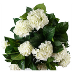 Artificial White Hydrangea Plant - 75cm Tall, Silk Flowers, Wood Trunk