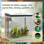13L Glass Fish Tank w/Filter, LED Lighting, Water Pump