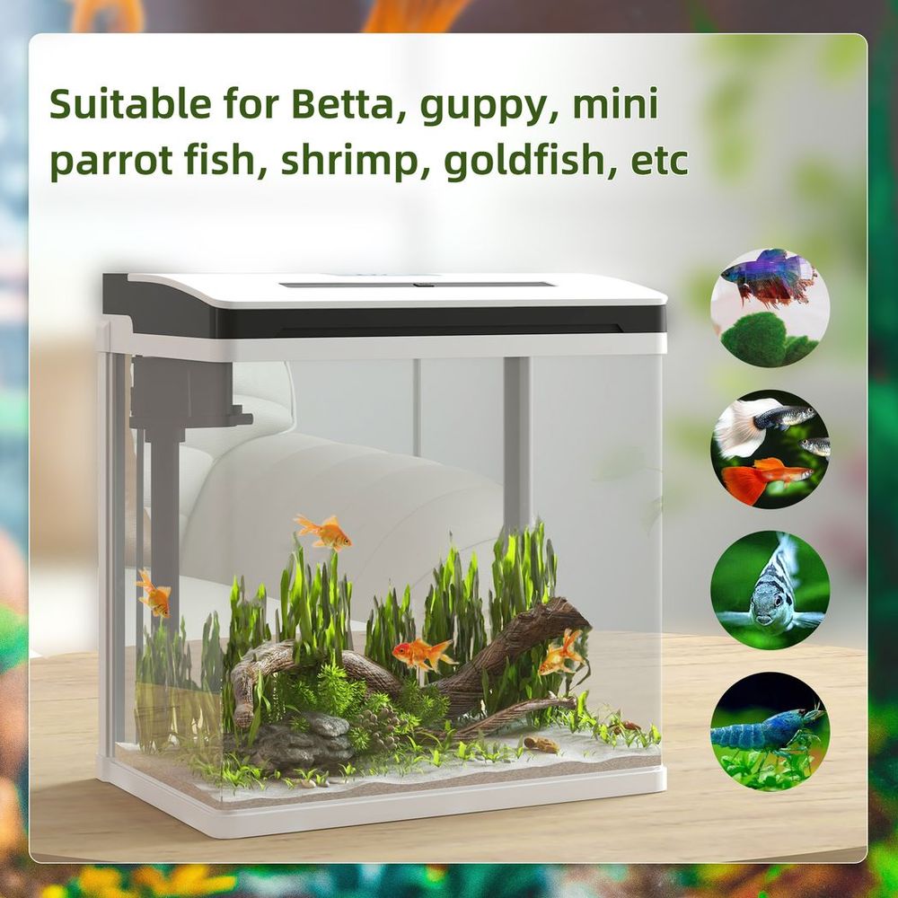13L Glass Fish Tank w/Filter, LED Lighting, Water Pump