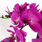 85cm Dark Pink Artificial Bush Orchid - Stunning Quality