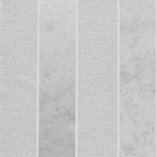 Striped Calico Grey: Attention to Detail! for All Demographics