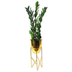 75cm Artificial Zanzibar Green Gem Zamioculcas Succulent Indoor Plant in Green