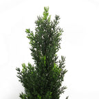 90cm UV Artificial Cedar Cypress Topiary UV Resistant