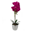 50cm Phalaenopsis Orchid Artificial - Dark Pink Silver in Silver