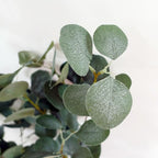 150cm Artificial Eucalyptus Tree for Home