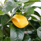 150cm Artificial Lemon Tree