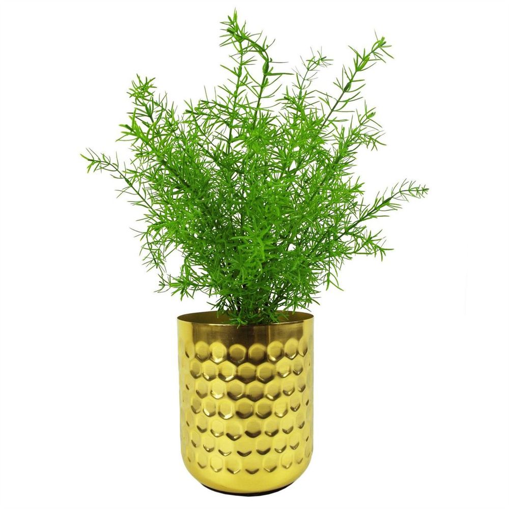 45cm Artificial Asparagus Fern Plant - Lifelike Replica for Low-Light Areas