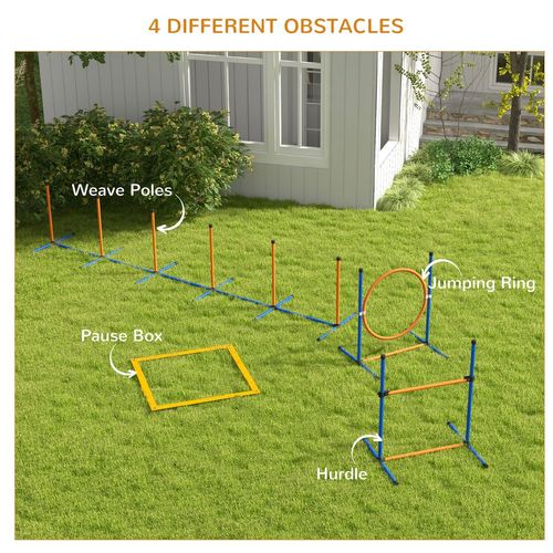 4 Pcs Dog Agility Training Equipment, Dog Outdoor Games w/ Carry Bag