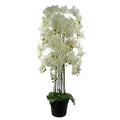 150cm Giant White Orchid Plant - Artificial - 189 Real Touch Flowers