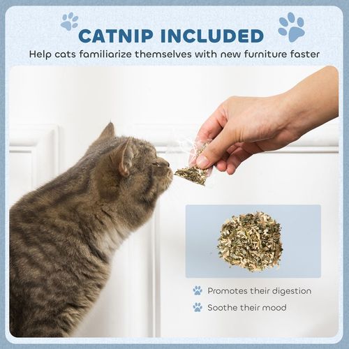 2 in1 Cat Scratcher with Catnip, Cardboard Lounge Bed, Blue