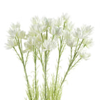 Natural Silk Starflower Stem 6-Pack - 30 Blooms - Beautiful Decorative Flowers