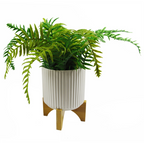 Artificial Plants Mini Desktop Ceramic Planters Displays Home Decor Limited