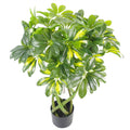 70cm Artificial Twisted Stem Gold Capella Arboricola Bonsai Bush, Realistic Decor