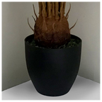70cm Artificial Tropical Cycas Palm Plant