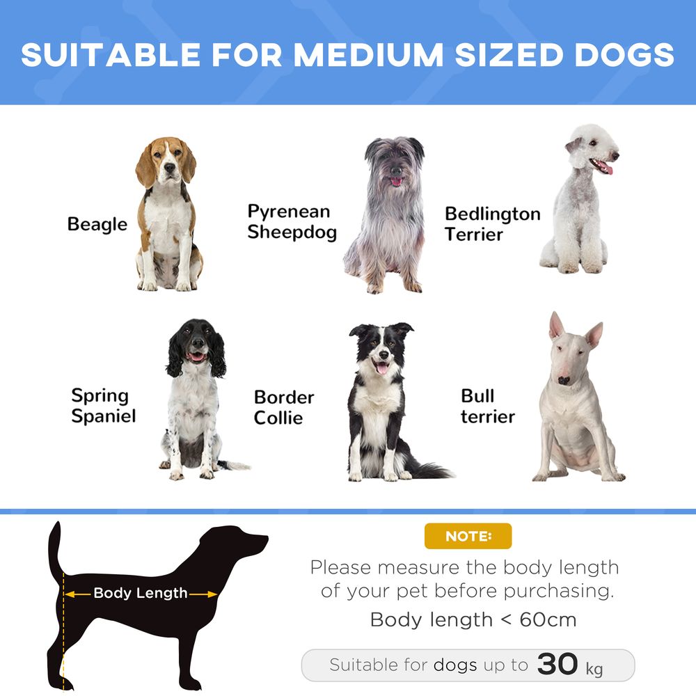 Portable Elevated Pet Bed to Raise Relax Area for Dogs and Cats with Metal Frame (Large)