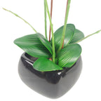 70cm Artificial Orchid Light Pink in Black Ceramic Planter