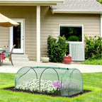 Decorative Mini Walk-in Greenhouse