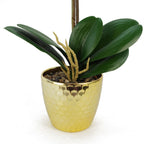 50cm Phalaenopsis Orchid Artificial - Red Leopard - Gold Pot in Gold