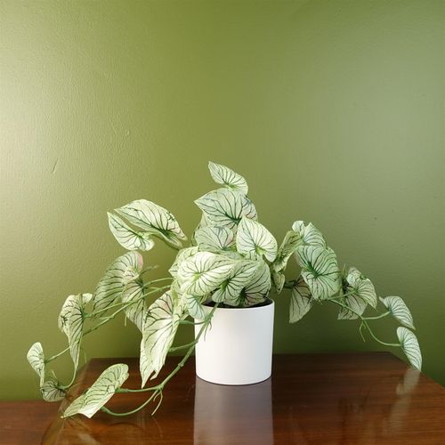 30cm Artificial Trailing Plant Realistic Variegated Potted Alocasia with Genuine Detail