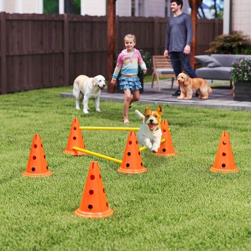 Dog Agility Equipment Set, 3 PCS Adjustable Height Jumping Obstacles