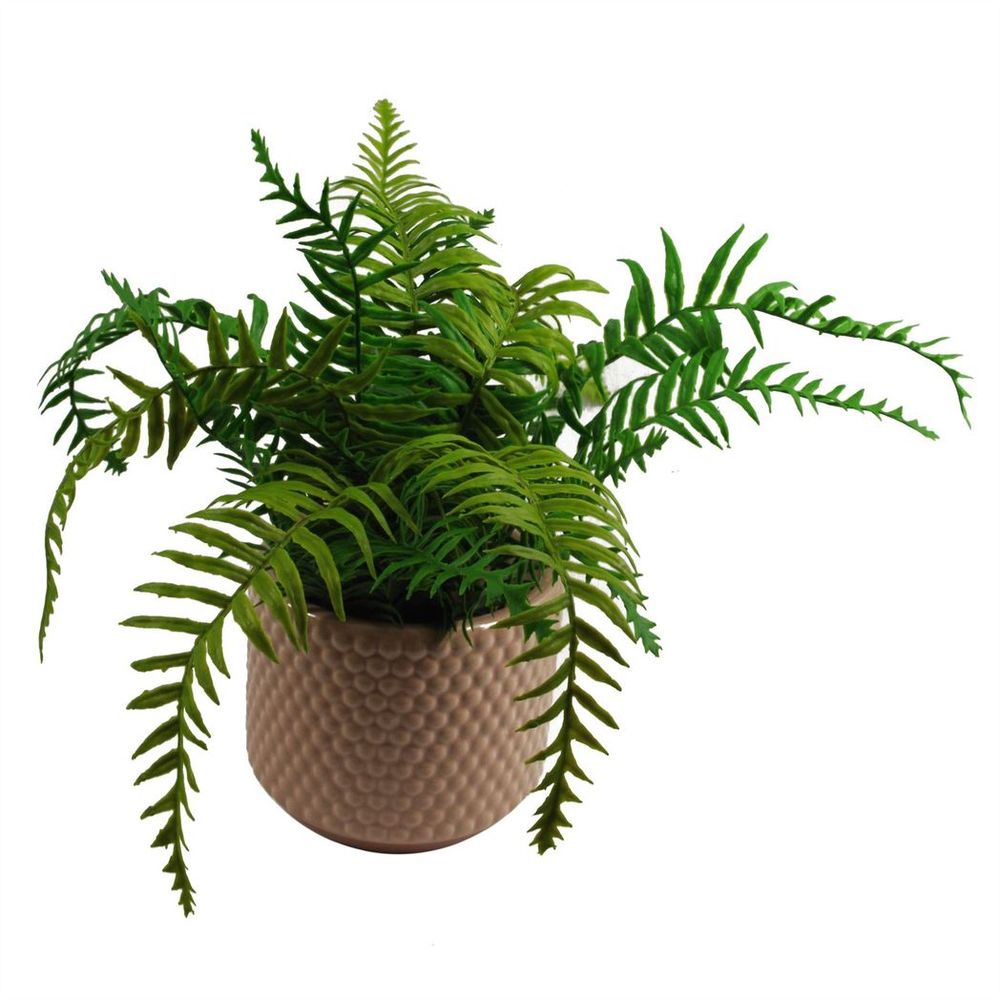 Pink Peach Raised Dots Ceramic Plant Pot: 15x15x12.5cm, Versatile & Luxurious, for Indoor Decor