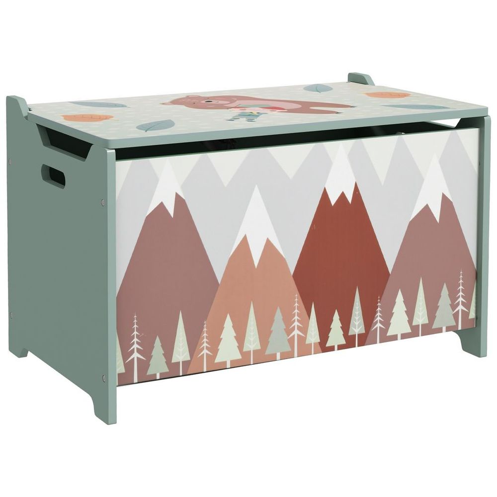 Toy Box, Kids Toy Chest with Lid, Safety Hinge - Green