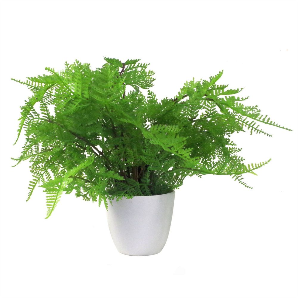 Realistic 30cm Artificial Potted Lady Fern - Foliage in Plastic Weighted Pot