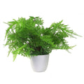 Realistic 30cm Artificial Potted Lady Fern - Foliage in Plastic Weighted Pot