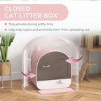 Cat Litter Box Kitten Litter Tray w/ Lid, Scoop, Filter, Flap Door, Pink