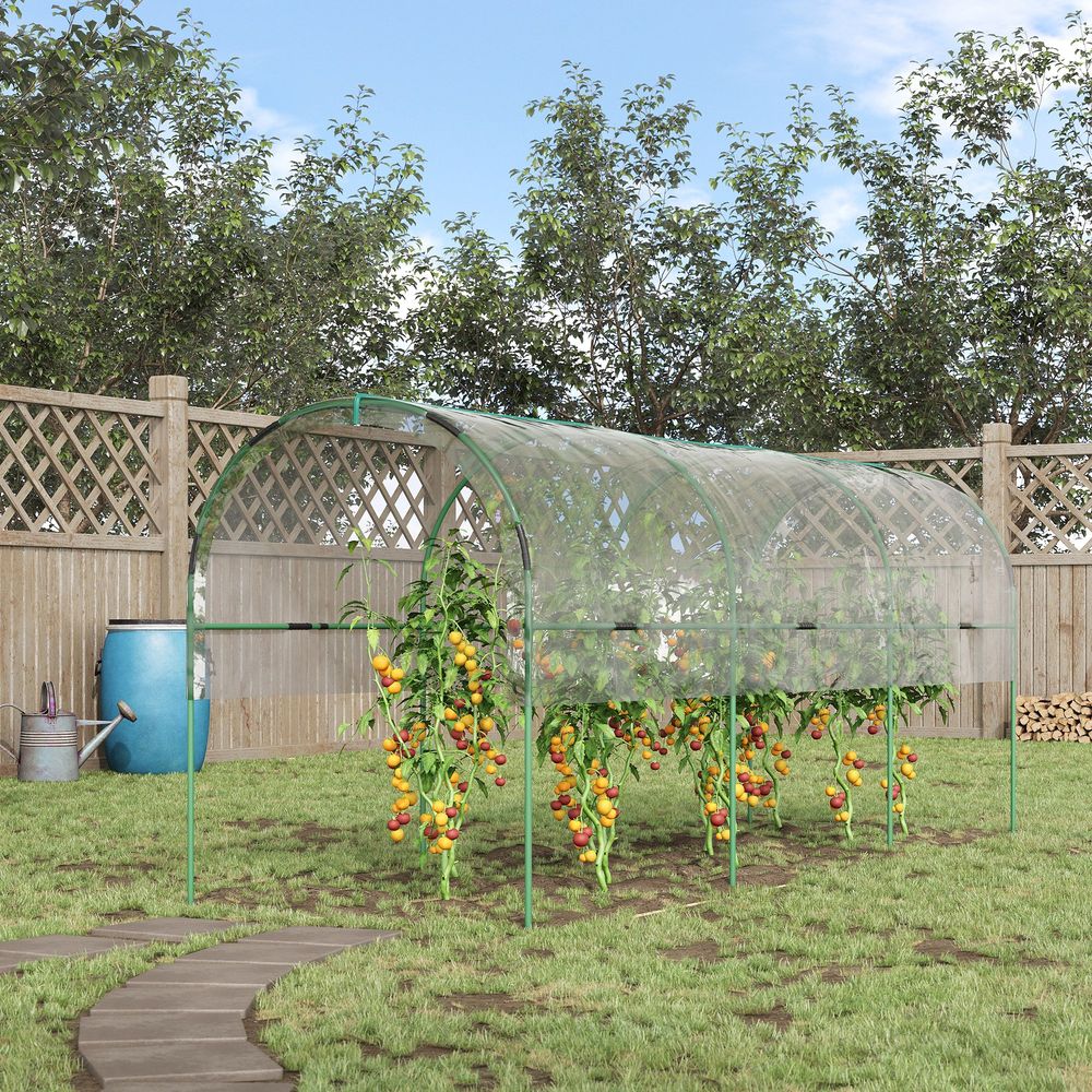Tomato Greenhouse with Top Tap, Pointed Bottom and Guy Ropes, Clear