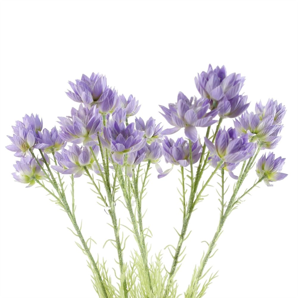 Pack of 6 x 60cm Purple Starflower Stems - 30 Blooms
