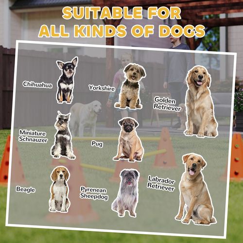 Dog Agility Equipment Set, 3 PCS Adjustable Height Jumping Obstacles