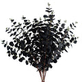 80cm Black Eucalyptus Foliage Stems - Pack of 6