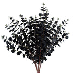 80cm Black Eucalyptus Foliage Stems - Pack of 6