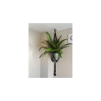 Realistic Artificial Boston Fern Plant - 60cm, Lifelike Faux Boston Fern