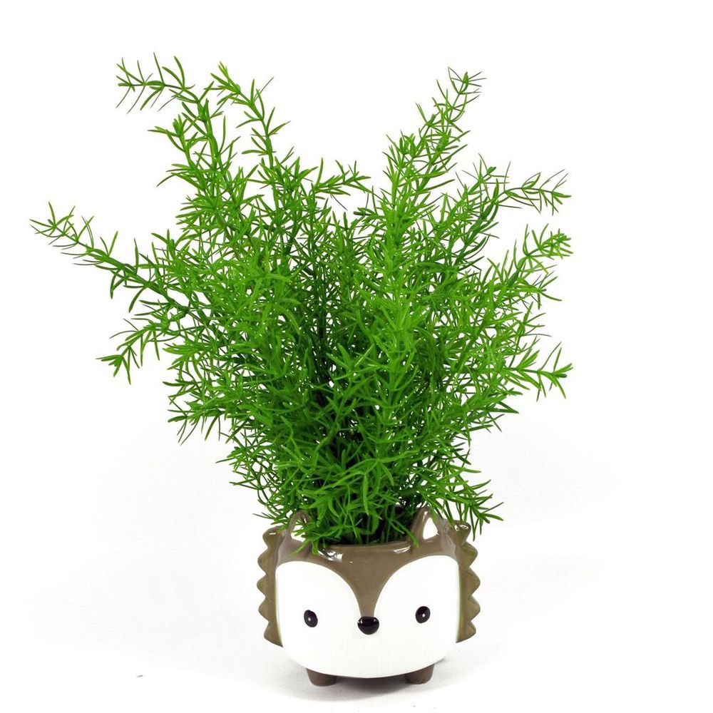 45cm Artificial Asparagus Fern Plant - Lifelike Replica for Low-Light Areas