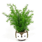 45cm Artificial Asparagus Fern Plant - Lifelike Replica for Low-Light Areas