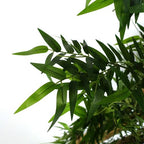 120cm Artificial Oriental Bamboo Plant in Bamboo
