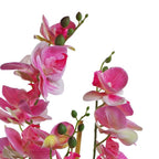 70cm Artificial Orchid Light Pink in Black Ceramic Planter