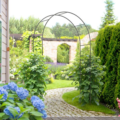 Outdoor Garden Arch, Metal Garden Arbor for Climbing Plants