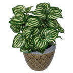 40cm Artificial Watermelon Style Leaves Plant - Realistic & Ready to Display