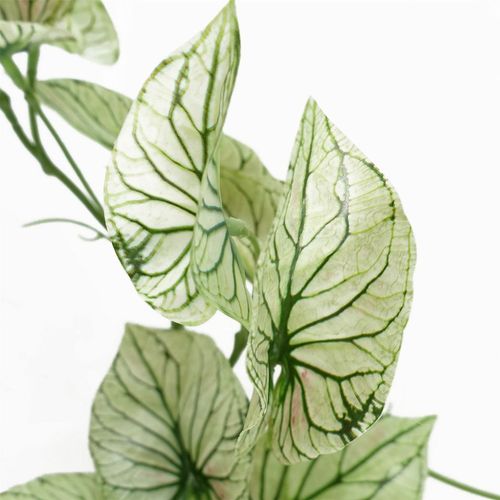 30cm Artificial Trailing Plant Realistic Variegated Potted Alocasia with Genuine Detail