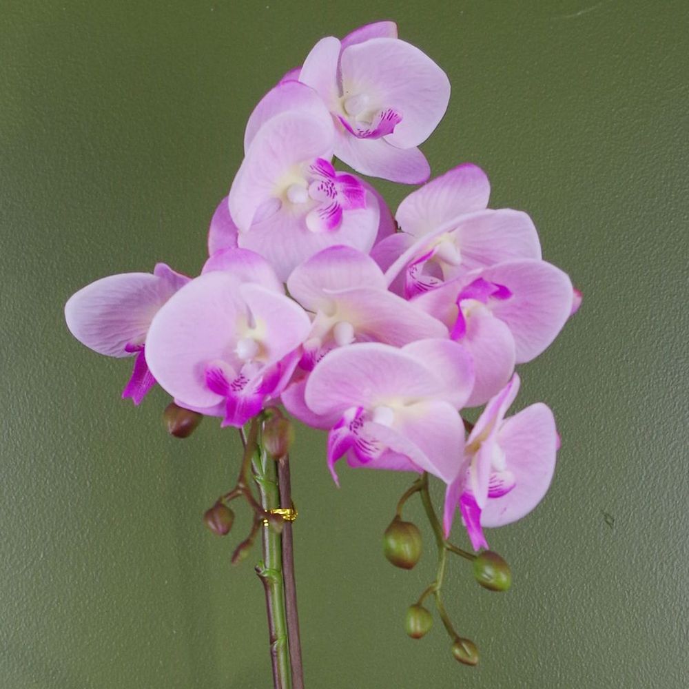 50cm Phalaenopsis Orchid Artificial - Light Pink Silver. Real touch leaves. Plastic decorative pot with fixed gravel topping