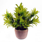22cm Foliage Honey Plant: Realistic & Vibrant Green in Terracotta Pot