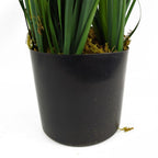 60cm Artificial Lemongrass Grass Plant